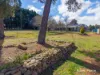 26 Tanglewood Road, Armidale, NSW 2350-Image