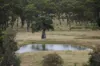 260 Taylor Lane, Machine Creek QLD 4695-Image