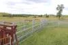 260 Taylor Lane, Machine Creek QLD 4695-Image