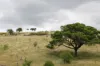 260 Taylor Lane, Machine Creek QLD 4695-Image