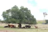 260 Taylor Lane, Machine Creek QLD 4695-Image
