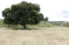 260 Taylor Lane, Machine Creek QLD 4695-Image