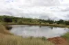 260 Taylor Lane, Machine Creek QLD 4695-Image
