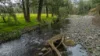 2601 Allyn River Road, Eccleston NSW 2311-Image