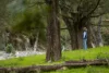 2601 Allyn River Road, Eccleston NSW 2311-Image