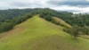 2601 Allyn River Road, Eccleston NSW 2311-Image