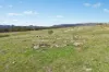 261 Mossy Rock Lane, Mudgee, NSW 2850-Image