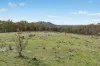 261 Mossy Rock Lane, Mudgee, NSW 2850-Image