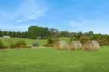 2620 Northern Highway, Kilmore, Vic 3764-Image
