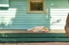 2620 Northern Highway, Kilmore, Vic 3764-Image