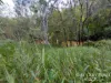 263, 71 Gilmore, Mareeba, Qld 4880-Image