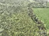 263, 71 Gilmore, Mareeba, Qld 4880-Image