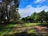 263, 71 Gilmore, Mareeba, Qld 4880-Image