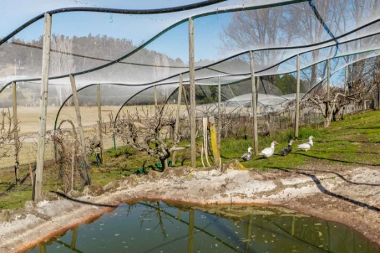265 The Snake Track, Kiah, NSW 2551-Image