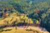 265 The Snake Track, Kiah, NSW 2551-Image