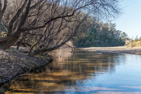 265 The Snake Track, Kiah, NSW 2551-Image