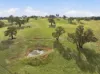 2653 Cargo Road, Cargo, NSW 2800-Image