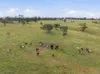 2653 Cargo Road, Cargo, NSW 2800-Image