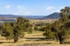 2653 Cargo Road, Cargo, NSW 2800-Image