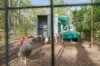 266 Winston Road, Eagleton, NSW 2324-Image