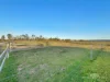 267 Shanty Creek Road, Mareeba, Qld 4880-Image