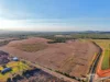 267 Shanty Creek Road, Mareeba, Qld 4880-Image