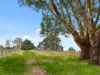 2697 Dunkeld Cavendish Road, Cavendish, Vic 3314-Image