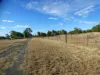 27, Bartels Road, Kogan, Qld 4406