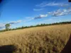 27, Bartels Road, Kogan, Qld 4406-Image
