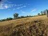 27, Bartels Road, Kogan, Qld 4406-Image