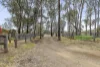 27 Wellsford Road, Longlea, Vic 3551-Image