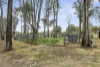 27 Wellsford Road, Longlea, Vic 3551-Image
