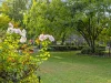 271 Moors Road, Nathalia, Vic 3638-Image