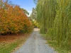 271 Moors Road, Nathalia, Vic 3638-Image