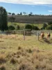 273 Mount Sturt Road, Yangan, Qld 4371-Image