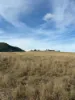 273 Mount Sturt Road, Yangan, Qld 4371-Image