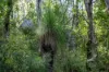 275 Overcliffe Road, Wylie Creek, NSW 2372-Image