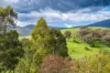 276 Egan Lane, Sandy Creek, Vic 3695-Image
