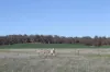 278 Myanarra Road, Daliak, WA 6302-Image