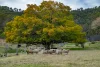 279 Camp Creek Road, Running Creek QLD 4287-Image