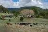 279 Camp Creek Road, Running Creek QLD 4287-Image