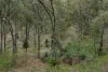 279 Camp Creek Road, Running Creek QLD 4287-Image