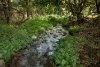279 Camp Creek Road, Running Creek QLD 4287-Image