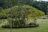 279 Camp Creek Road, Running Creek QLD 4287-Image