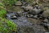 279 Camp Creek Road, Running Creek QLD 4287-Image
