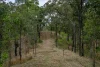 279 Camp Creek Road, Running Creek QLD 4287-Image