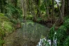 279 Camp Creek Road, Running Creek QLD 4287-Image