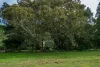 279 Camp Creek Road, Running Creek QLD 4287-Image