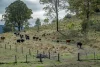 279 Camp Creek Road, Running Creek QLD 4287-Image