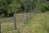 279 Camp Creek Road, Running Creek QLD 4287-Image
